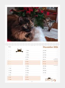Tortie Catz Calendar 2026 December