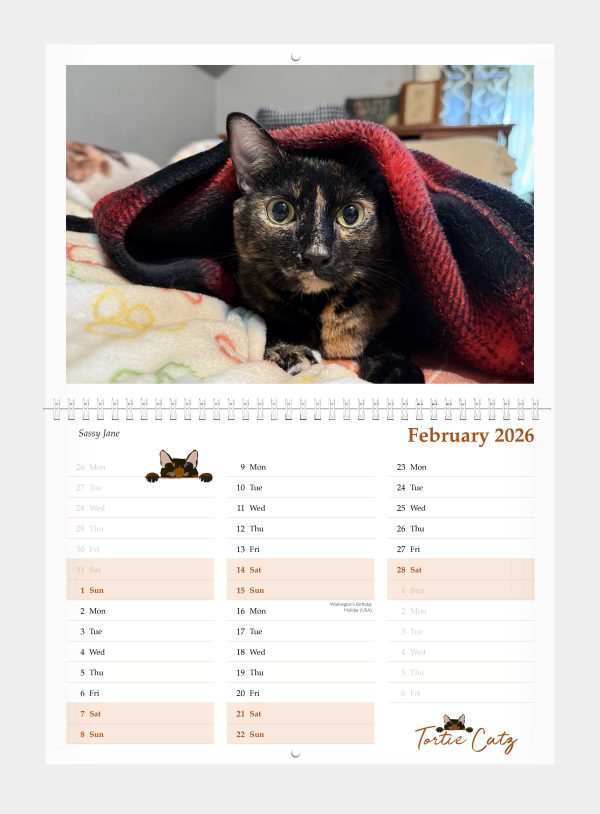Tortoiseshell Cats Calendar 2026 - Image 2