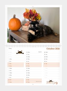 Tortie Catz Calendar 2026 October