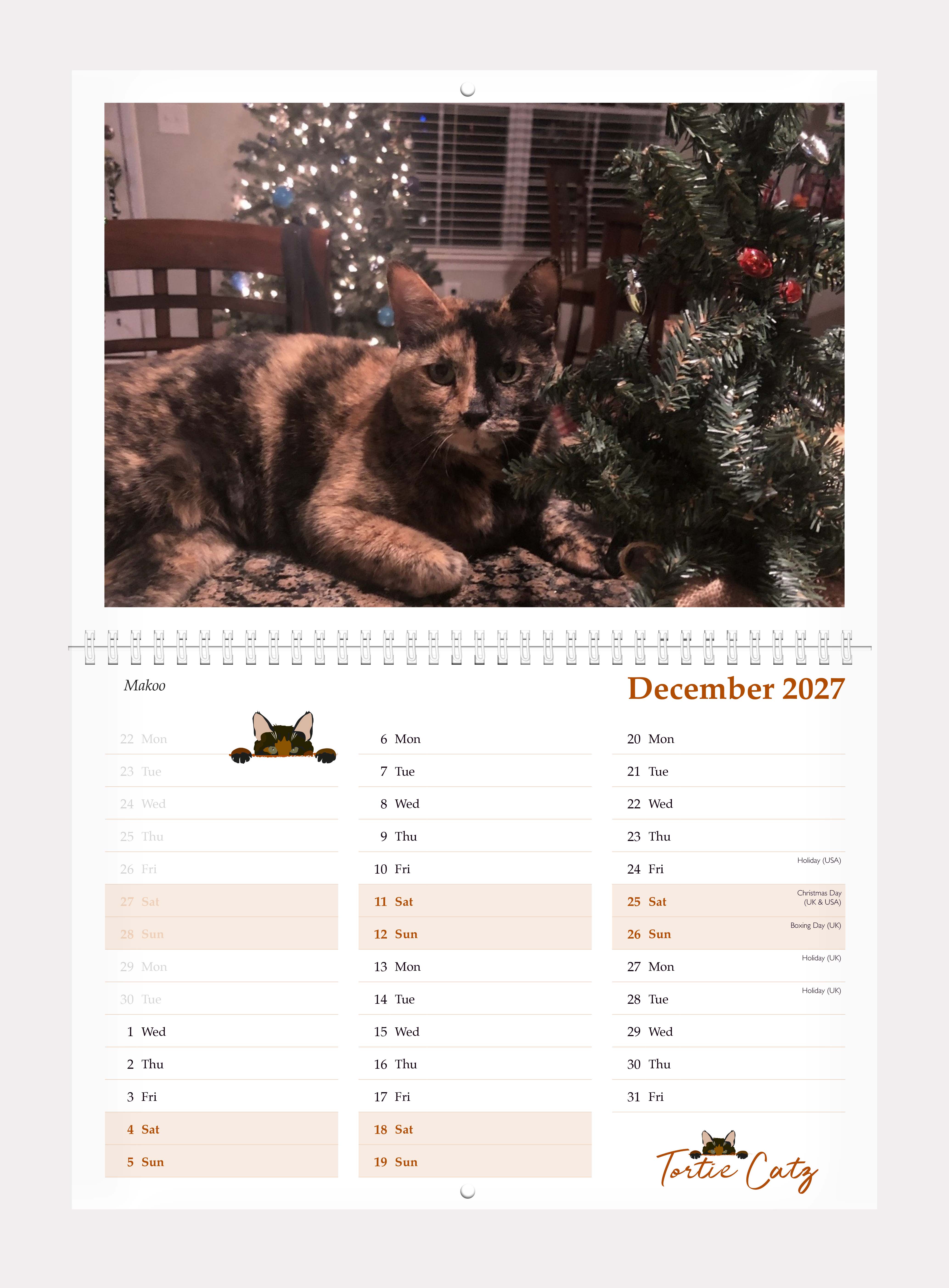 Tortoiseshell Cats Calendar 2027 - Image 2