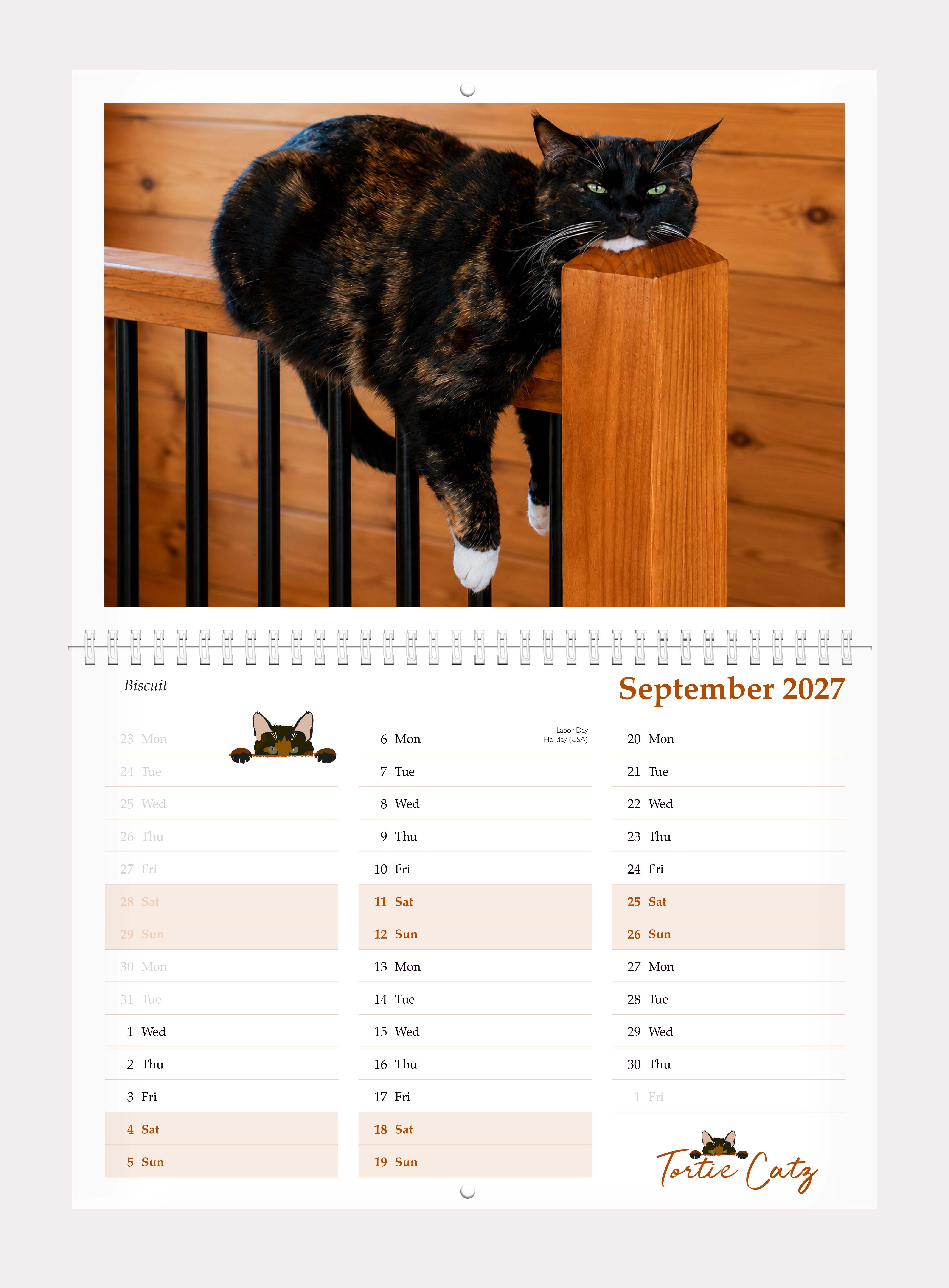 Tortoiseshell Cats Calendar 2027 - Image 4